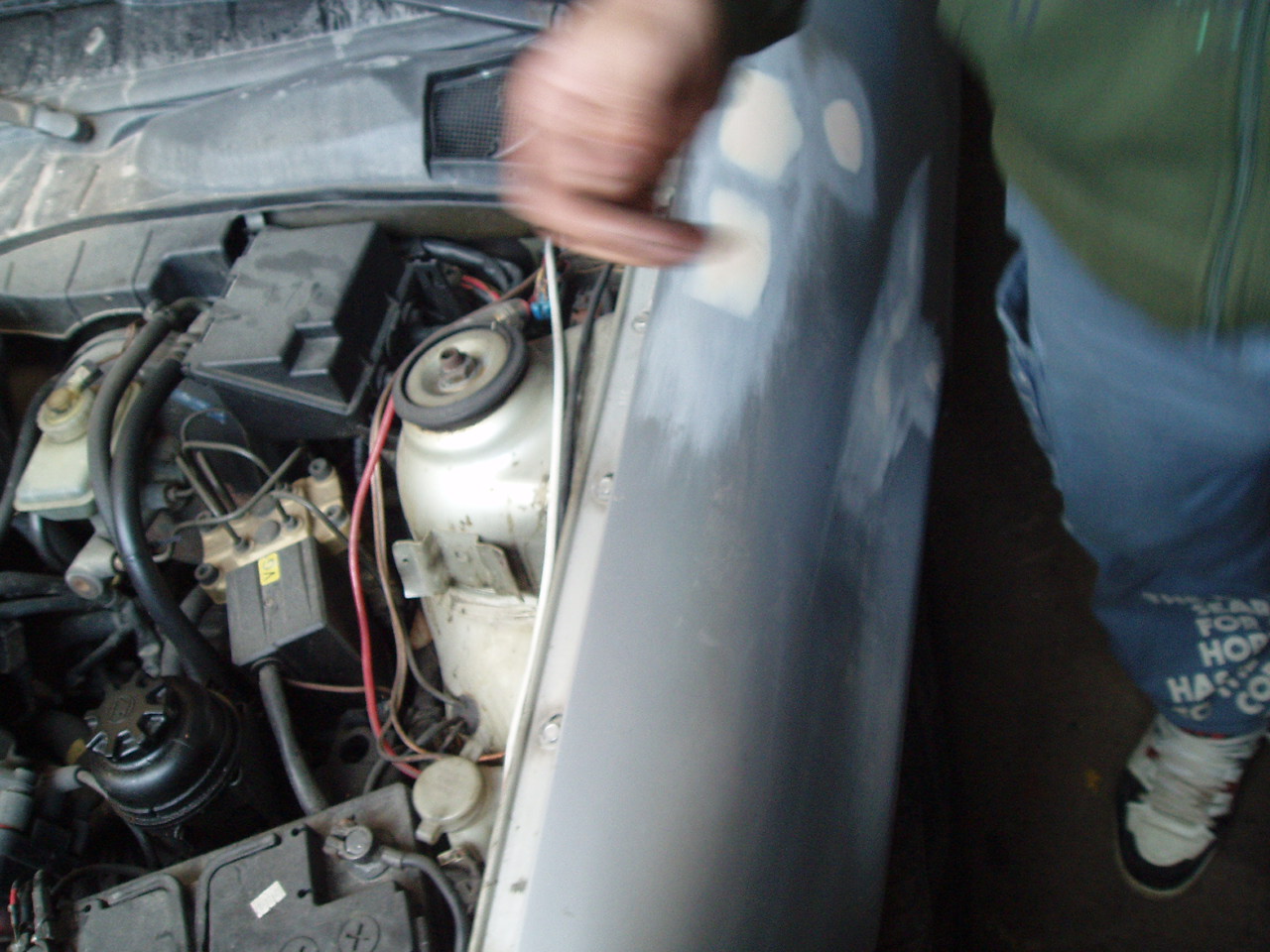 PA010582.JPG